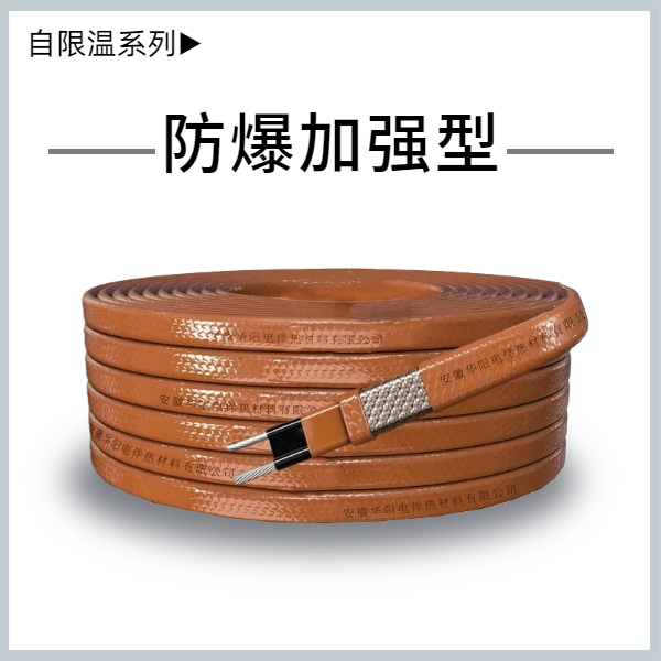 中温防爆加强型